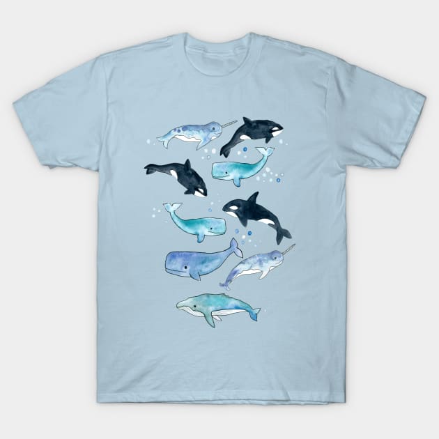 Whales, Orcas & Narwhals T-Shirt by tangerinetane